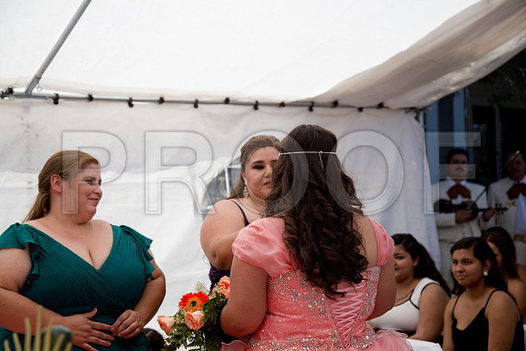 Leslie_event_195