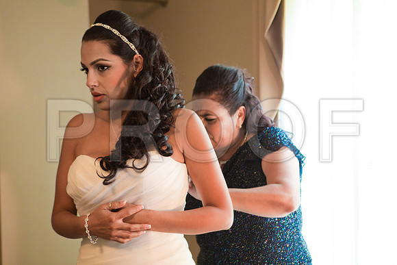 Stella_and_Frank_Event_0067