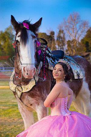 IMG_0068-Edit