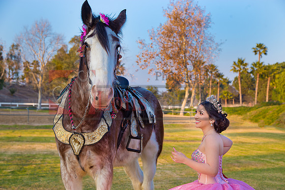 IMG_0059-Edit-Edit-Edit