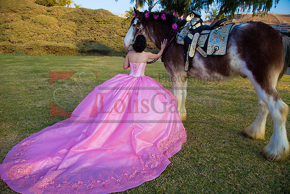IMG_0014-Edit-Edit