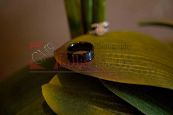 Weslie & Marissa Wedding _0034