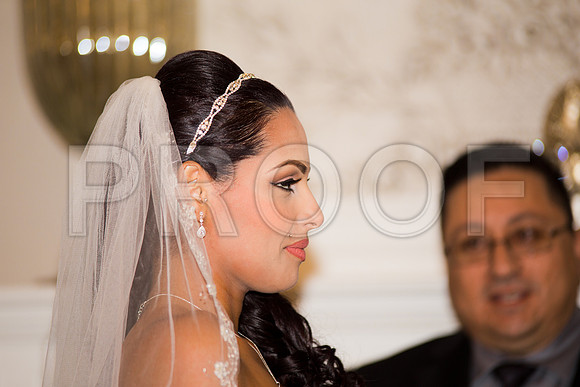 Stella_and_Frank_Event_0168