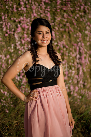 Ashley_Pre_114