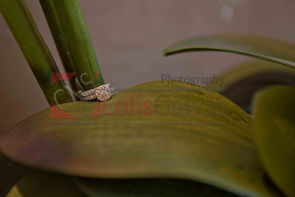 Weslie & Marissa Wedding _0041