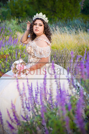 IMG_4736-Edit-Edit