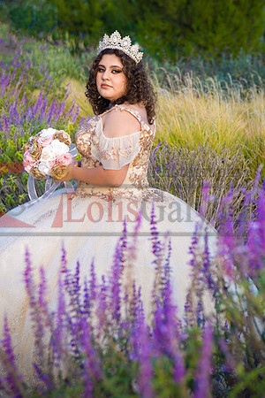 IMG_4732-Edit-Edit-Edit
