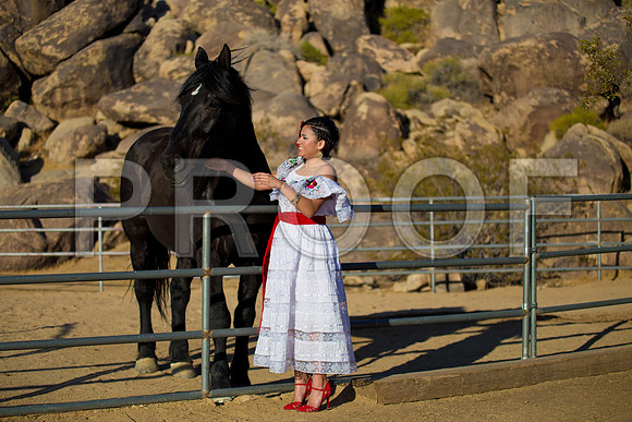 Amanda_Pre_084