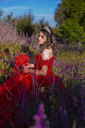 IMG_0189-Edit