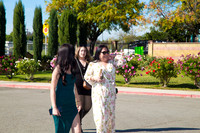 IMG_3882