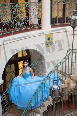 Daphne_Pre_0170