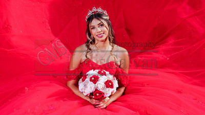 DSC05379