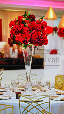 DSC05495-Edit
