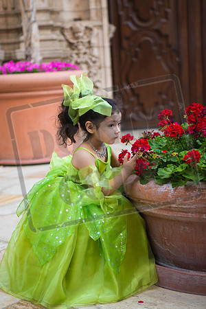 Daphne_Pre_0075