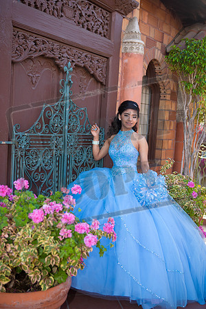 Daphne_Pre_0107