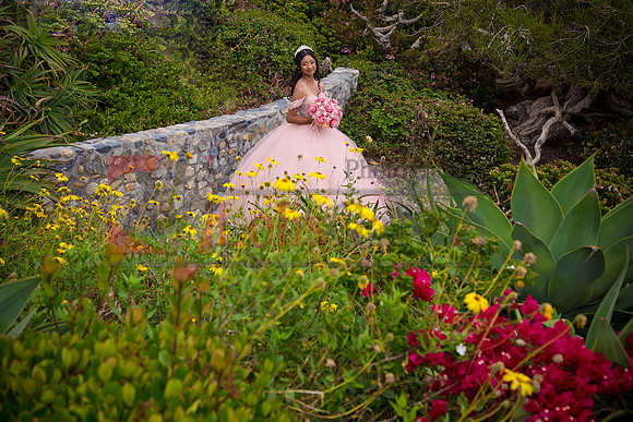IMG_4646-Edit