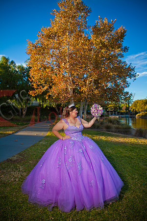 IMG_2726-Edit
