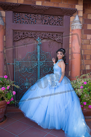 Daphne_Pre_0106