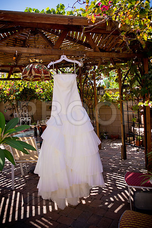 Liz_and_Michael_Event_0051