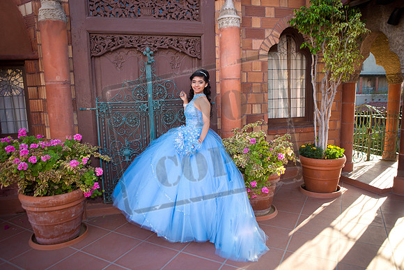 Daphne_Pre_0105