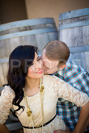 Liz_and_Mike_Pre_074