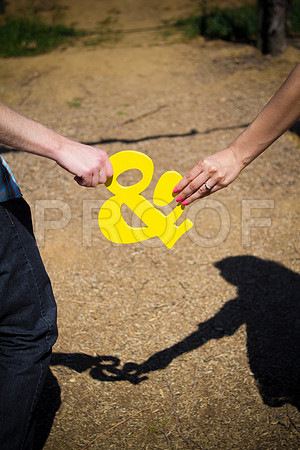 Liz_and_Mike_Pre_144