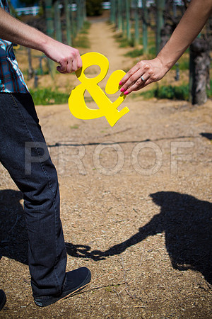 Liz_and_Mike_Pre_145