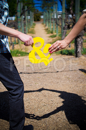 Liz_and_Mike_Pre_146