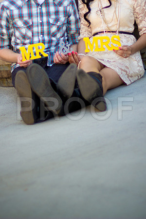Liz_and_Mike_Pre_156