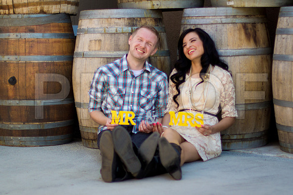 Liz_and_Mike_Pre_160
