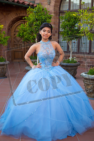 Daphne_Pre_0145