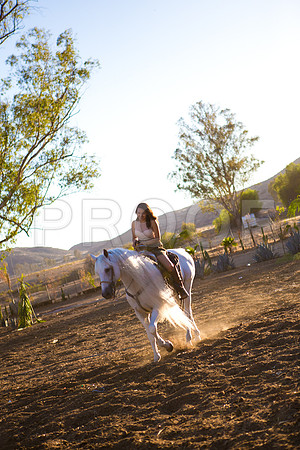 Sam_Pre_104