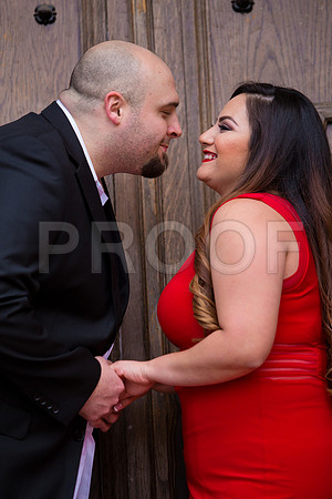 Lizette_and_Garrett_Pre_0045