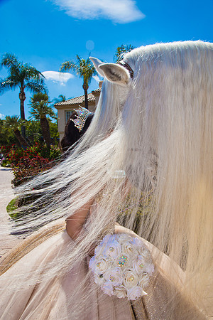 IMG_1490-Edit