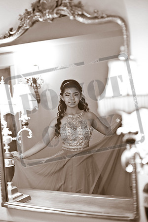 Daphne_Pre_0251