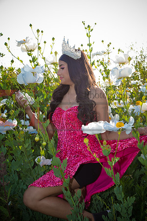 IMG_1082-Edit