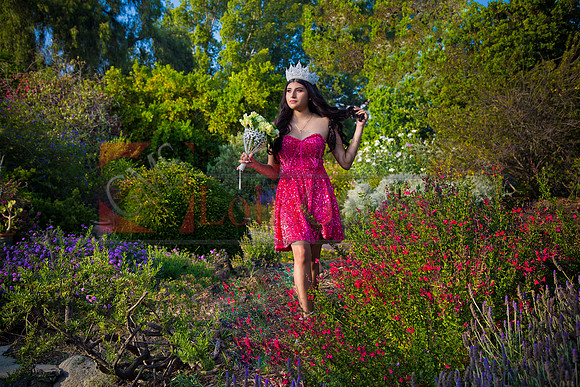 IMG_1135-Edit-Edit