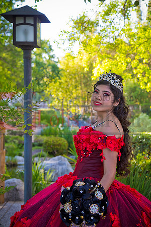IMG_8472