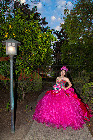 IMG_1830-Edit