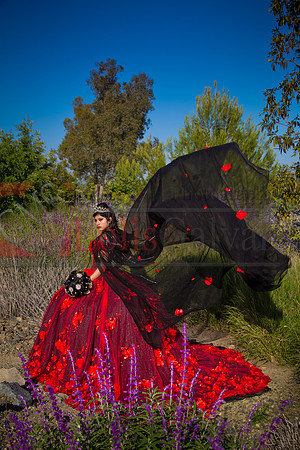 IMG_8466-Edit-Edit