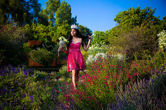 IMG_1137-Edit