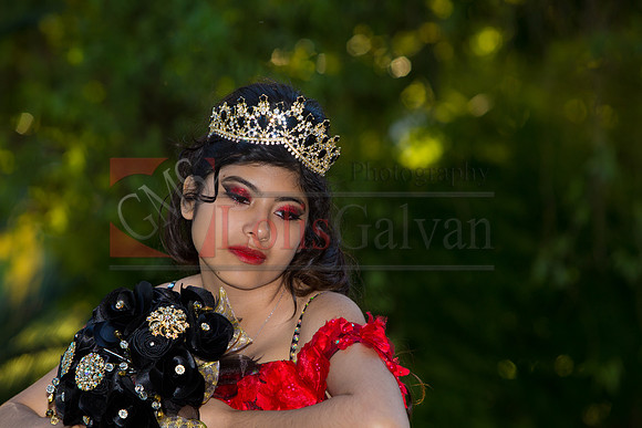 IMG_8554