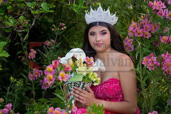 IMG_1261-Edit
