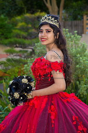 IMG_8596