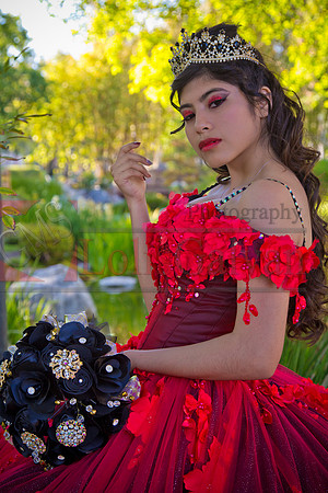 IMG_8479