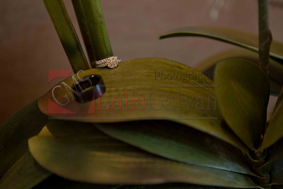 Weslie & Marissa Wedding _0040