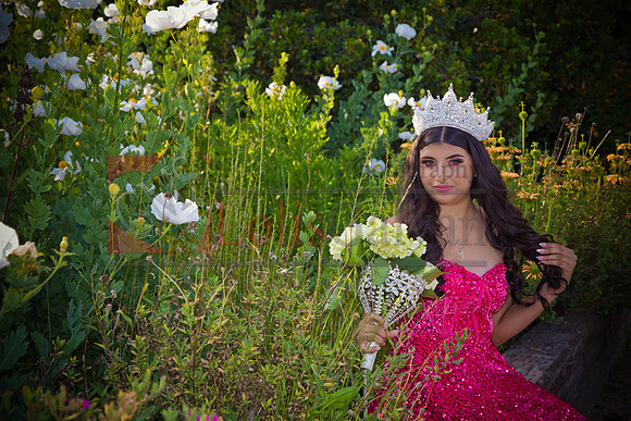 IMG_1065-Edit-Edit