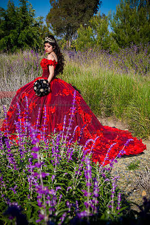 IMG_8451-Edit