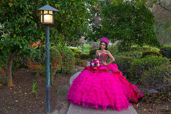 IMG_1826-Edit