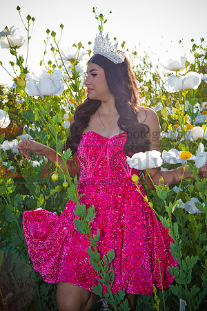 IMG_1079-Edit